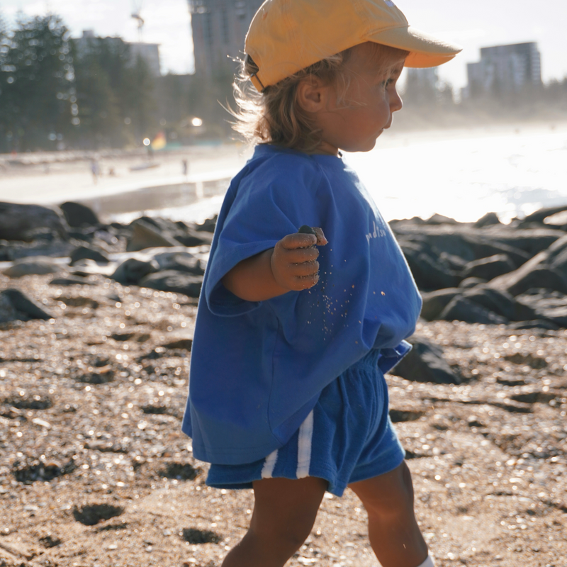 Twin Stripe Terry Shorts | Blue